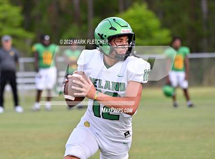 Thumbnail 2 in DeLand (Green/Gold Spring Scrimmage) photogallery.