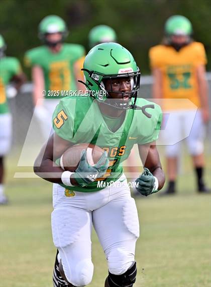 Thumbnail 2 in DeLand (Green/Gold Spring Scrimmage) photogallery.