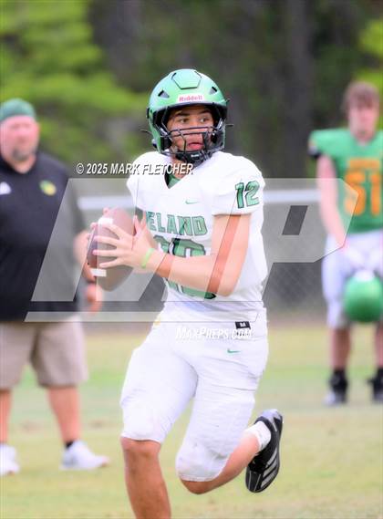 Thumbnail 2 in DeLand (Green/Gold Spring Scrimmage) photogallery.