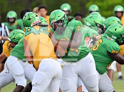 Thumbnail 1 in DeLand (Green/Gold Spring Scrimmage) photogallery.