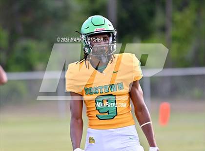Thumbnail 3 in DeLand (Green/Gold Spring Scrimmage) photogallery.