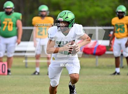 Thumbnail 1 in DeLand (Green/Gold Spring Scrimmage) photogallery.