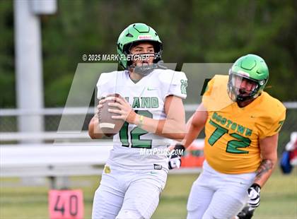 Thumbnail 3 in DeLand (Green/Gold Spring Scrimmage) photogallery.