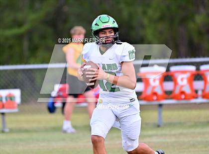 Thumbnail 1 in DeLand (Green/Gold Spring Scrimmage) photogallery.