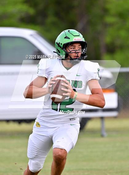Thumbnail 3 in DeLand (Green/Gold Spring Scrimmage) photogallery.