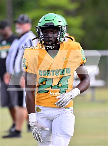 Thumbnail 3 in DeLand (Green/Gold Spring Scrimmage) photogallery.