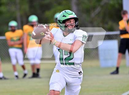 Thumbnail 3 in DeLand (Green/Gold Spring Scrimmage) photogallery.
