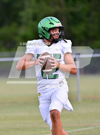 Thumbnail 3 in DeLand (Green/Gold Spring Scrimmage) photogallery.