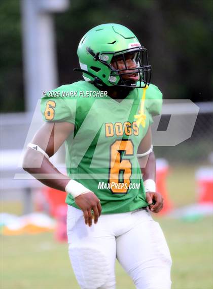 Thumbnail 1 in DeLand (Green/Gold Spring Scrimmage) photogallery.