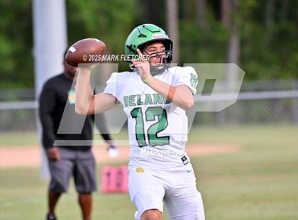 Thumbnail 1 in DeLand (Green/Gold Spring Scrimmage) photogallery.