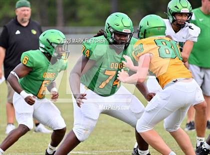 Thumbnail 3 in DeLand (Green/Gold Spring Scrimmage) photogallery.