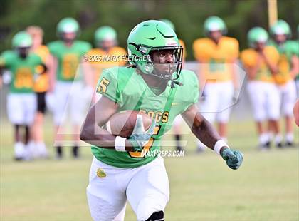 Thumbnail 1 in DeLand (Green/Gold Spring Scrimmage) photogallery.