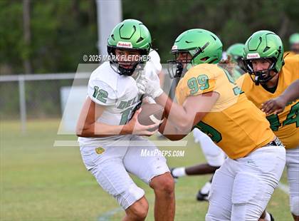 Thumbnail 2 in DeLand (Green/Gold Spring Scrimmage) photogallery.