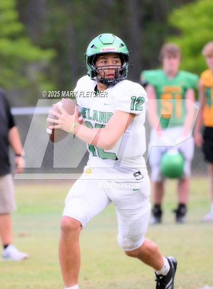 Thumbnail 1 in DeLand (Green/Gold Spring Scrimmage) photogallery.