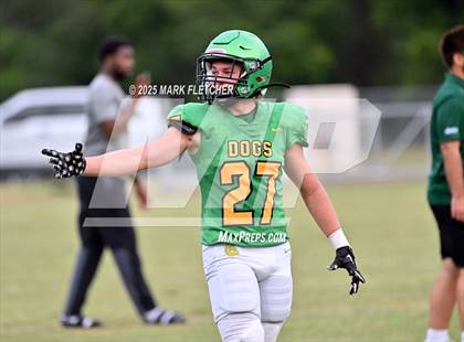 Thumbnail 1 in DeLand (Green/Gold Spring Scrimmage) photogallery.