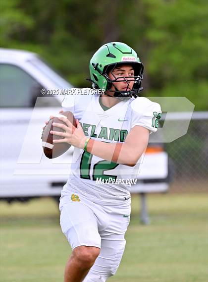 Thumbnail 1 in DeLand (Green/Gold Spring Scrimmage) photogallery.