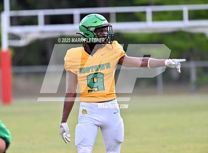 Thumbnail 1 in DeLand (Green/Gold Spring Scrimmage) photogallery.