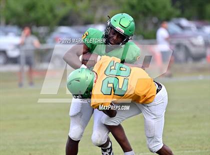 Thumbnail 2 in DeLand (Green/Gold Spring Scrimmage) photogallery.