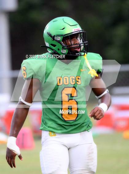 Thumbnail 2 in DeLand (Green/Gold Spring Scrimmage) photogallery.
