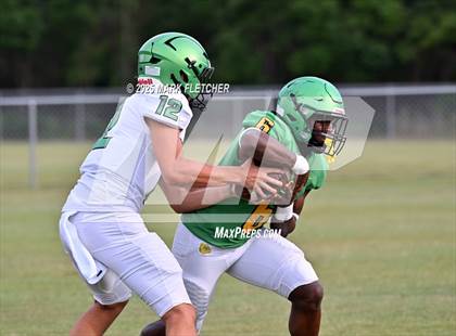 Thumbnail 1 in DeLand (Green/Gold Spring Scrimmage) photogallery.