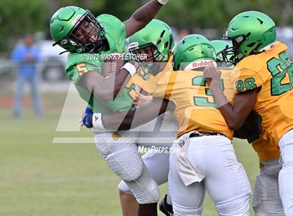 Thumbnail 1 in DeLand (Green/Gold Spring Scrimmage) photogallery.