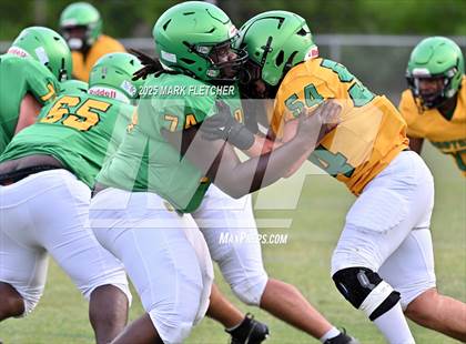 Thumbnail 1 in DeLand (Green/Gold Spring Scrimmage) photogallery.