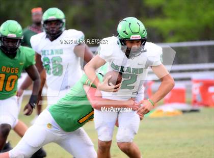 Thumbnail 1 in DeLand (Green/Gold Spring Scrimmage) photogallery.
