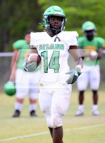 Thumbnail 3 in DeLand (Green/Gold Spring Scrimmage) photogallery.