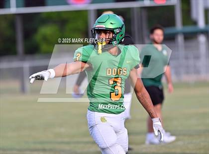 Thumbnail 2 in DeLand (Green/Gold Spring Scrimmage) photogallery.