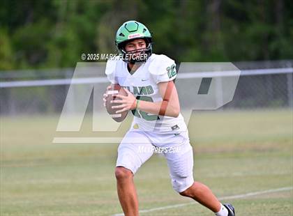 Thumbnail 3 in DeLand (Green/Gold Spring Scrimmage) photogallery.