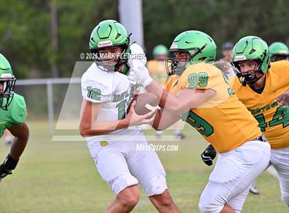 Thumbnail 3 in DeLand (Green/Gold Spring Scrimmage) photogallery.