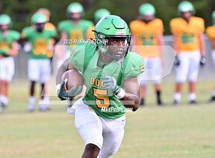 Thumbnail 3 in DeLand (Green/Gold Spring Scrimmage) photogallery.