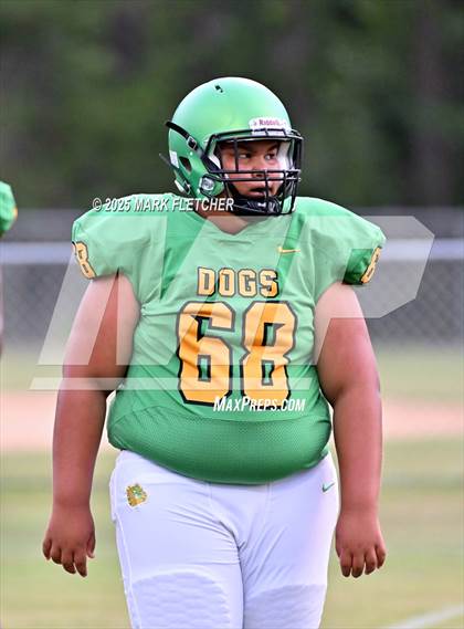 Thumbnail 3 in DeLand (Green/Gold Spring Scrimmage) photogallery.