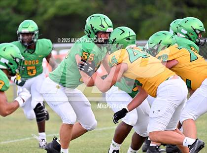 Thumbnail 2 in DeLand (Green/Gold Spring Scrimmage) photogallery.