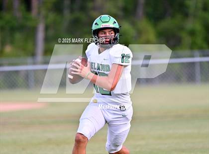 Thumbnail 2 in DeLand (Green/Gold Spring Scrimmage) photogallery.
