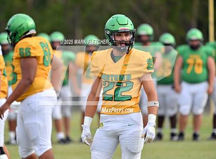 Thumbnail 2 in DeLand (Green/Gold Spring Scrimmage) photogallery.