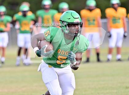 Thumbnail 2 in DeLand (Green/Gold Spring Scrimmage) photogallery.