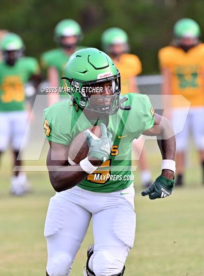 Thumbnail 1 in DeLand (Green/Gold Spring Scrimmage) photogallery.