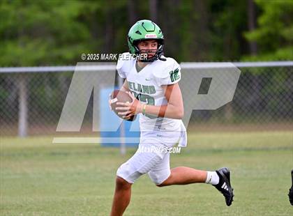 Thumbnail 1 in DeLand (Green/Gold Spring Scrimmage) photogallery.