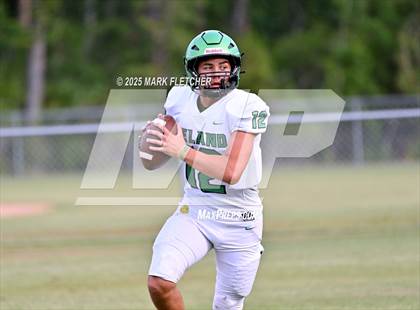 Thumbnail 1 in DeLand (Green/Gold Spring Scrimmage) photogallery.