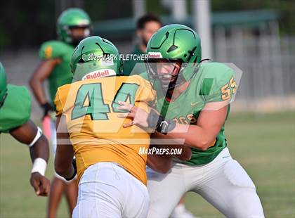 Thumbnail 3 in DeLand (Green/Gold Spring Scrimmage) photogallery.