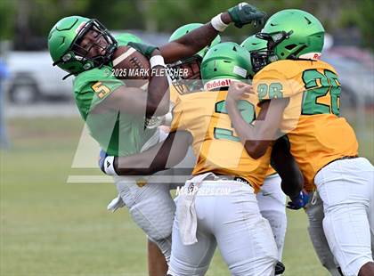 Thumbnail 3 in DeLand (Green/Gold Spring Scrimmage) photogallery.