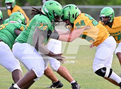 Thumbnail 3 in DeLand (Green/Gold Spring Scrimmage) photogallery.