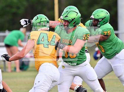 Thumbnail 3 in DeLand (Green/Gold Spring Scrimmage) photogallery.