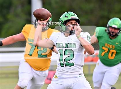 Thumbnail 2 in DeLand (Green/Gold Spring Scrimmage) photogallery.