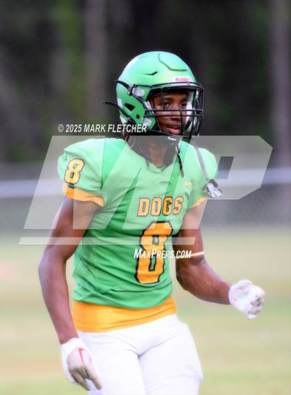 Thumbnail 3 in DeLand (Green/Gold Spring Scrimmage) photogallery.