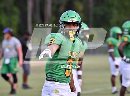 Thumbnail 2 in DeLand (Green/Gold Spring Scrimmage) photogallery.