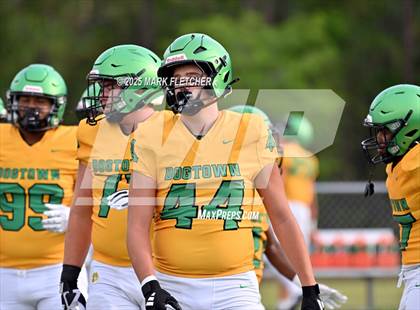 Thumbnail 1 in DeLand (Green/Gold Spring Scrimmage) photogallery.