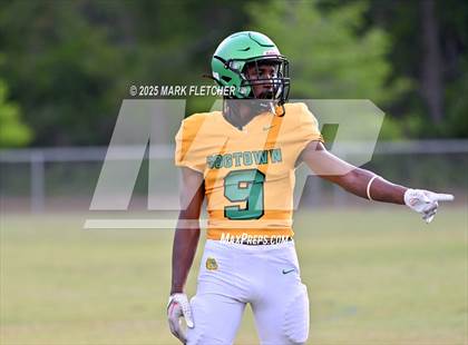 Thumbnail 3 in DeLand (Green/Gold Spring Scrimmage) photogallery.