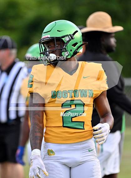 Thumbnail 1 in DeLand (Green/Gold Spring Scrimmage) photogallery.